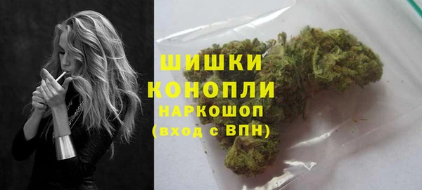 амф Няндома