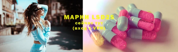 PSILOCYBIN Новокубанск