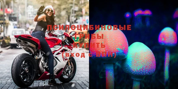 spice Нязепетровск