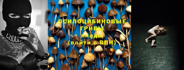 сатива Нягань