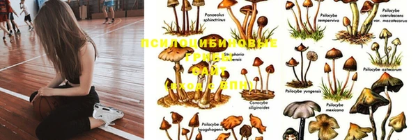 spice Нязепетровск